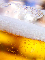 Введён запрет на употребление пива в общественных местах