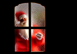 Сеть салонов «Хорошие Двери» поздравляет с Новым годом и Рождеством