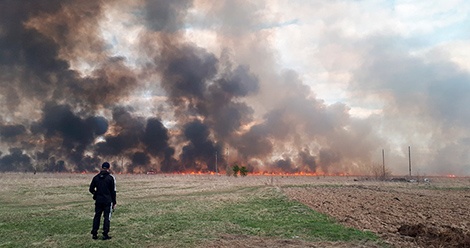 В Нижней Салде сгорело 4 гектара сухой травы