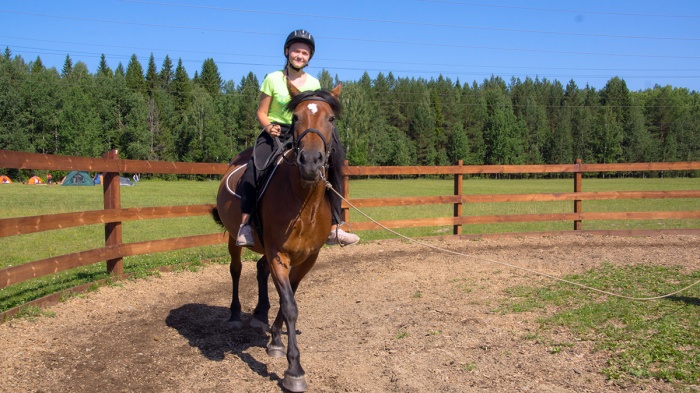 Каникулы конного режима. Третий поток