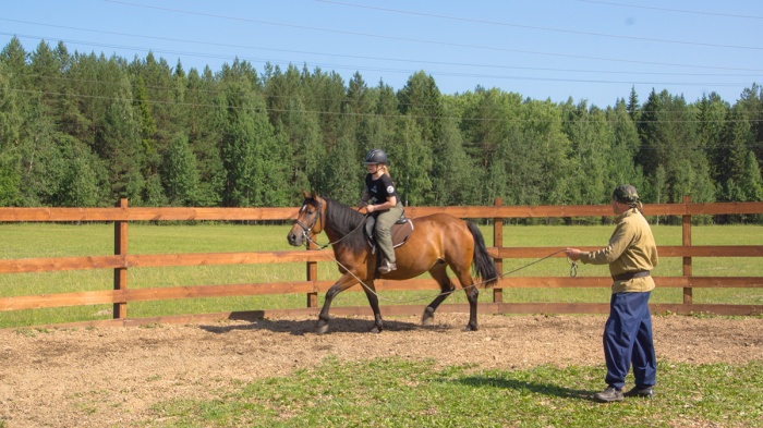 Каникулы конного режима. Третий поток