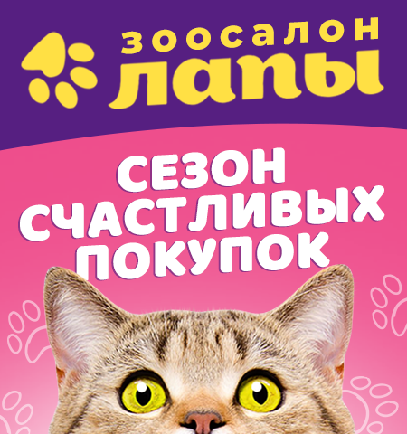 �������� ����