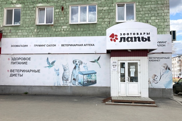 Сезон счастливых покупок в зоосалоне «Лапы» Сезон счастливых покупок в зоосалоне «Лапы»