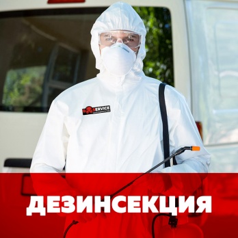 DService — единая служба дезинсекции, дератизации и дезинфекции DService — единая служба дезинсекции, дератизации и дезинфекции