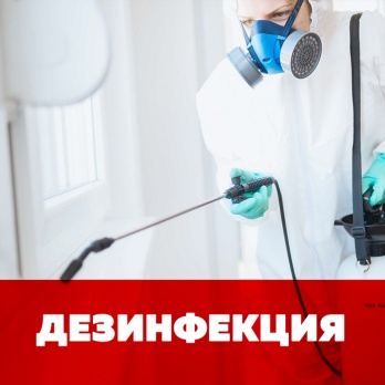DService — единая служба дезинсекции, дератизации и дезинфекции DService — единая служба дезинсекции, дератизации и дезинфекции