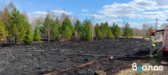 Около 1500 квадратных метров сухой травы сгорело около посёлка Перегрузочный
