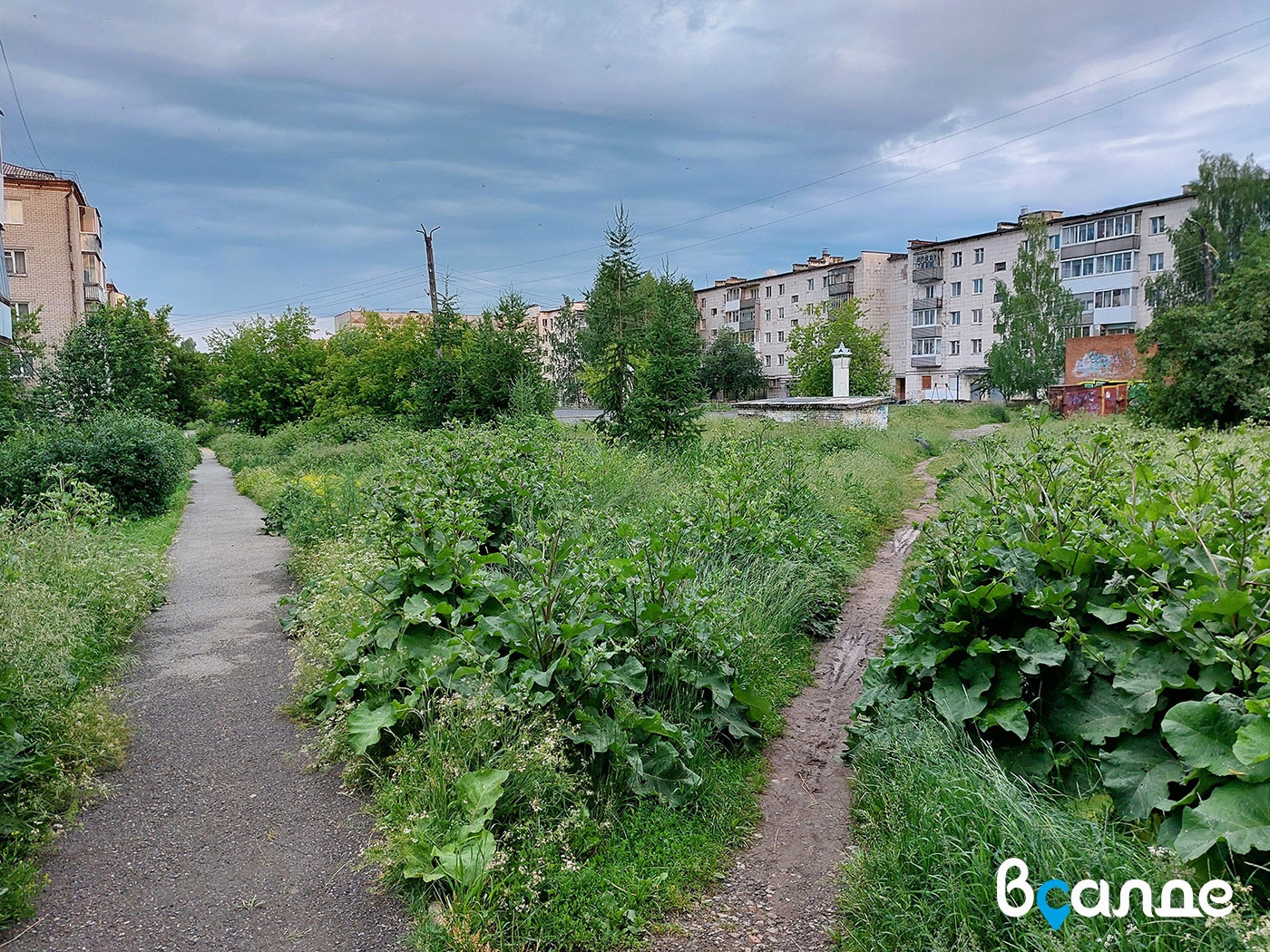 Верхняя Салда — город-сад. Заросший, неухоженный... » вСалде | Верхняя Салда  и Нижняя Салда