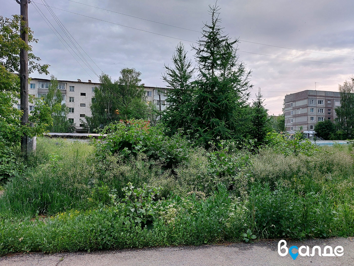 Верхняя Салда — город-сад. Заросший, неухоженный... » вСалде | Верхняя  Салда и Нижняя Салда