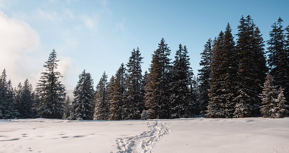 ������� ������ ������ ������������� �������� ��������� �������