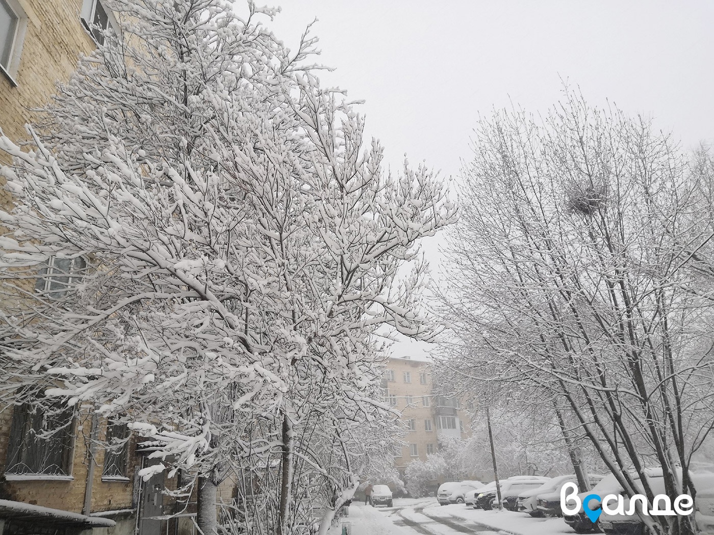 Снежное апрельское утро Снежное апрельское утро