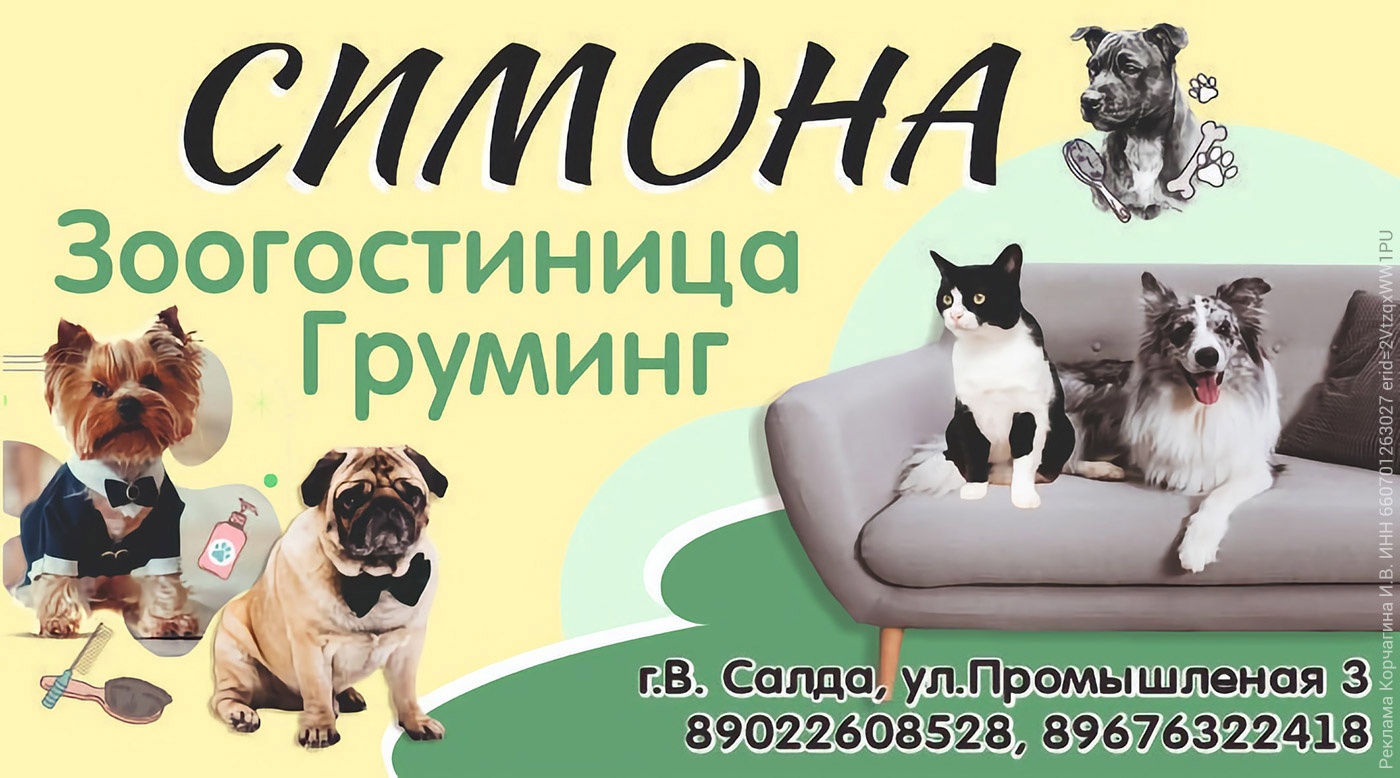 Зоогостиница и груминг-салон «Симона» в Верхней Салде Зоогостиница и груминг-салон «Симона» в Верхней Салде