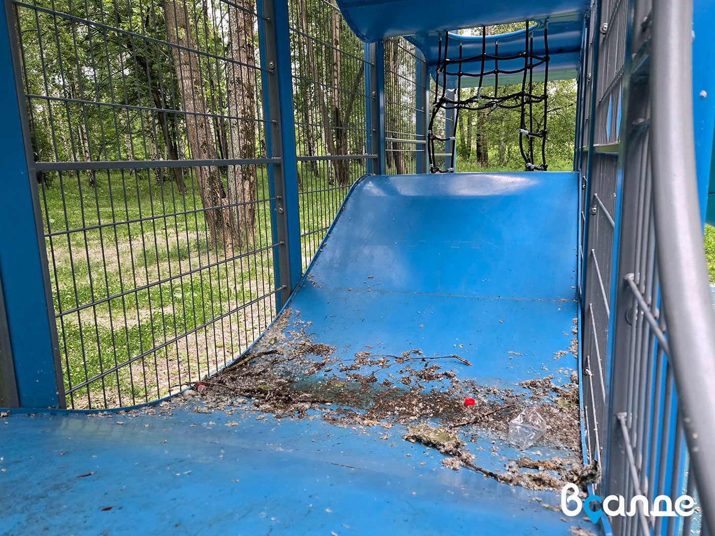 Благоустроили и забросили. В Верхней Салде перестали ухаживать за парком Базанова Благоустроили и забросили. В Верхней Салде перестали ухаживать за парком Базанова
