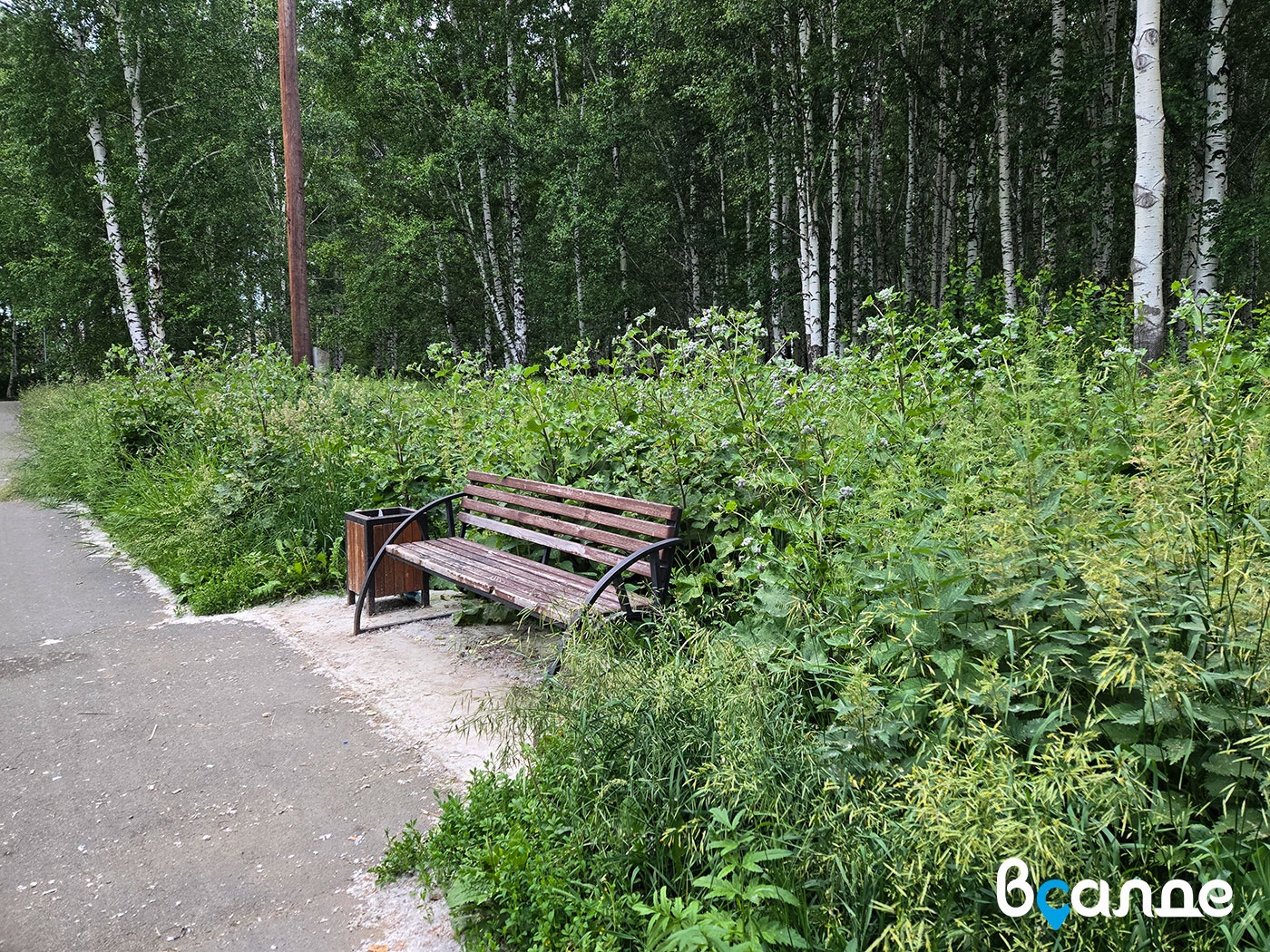 Благоустроили и забросили. В Верхней Салде перестали ухаживать за парком Базанова Благоустроили и забросили. В Верхней Салде перестали ухаживать за парком Базанова