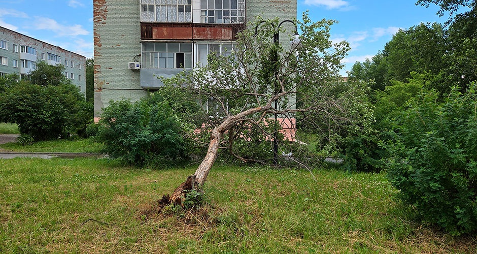 Дерево упало на Комсомольской аллее в Верхней Салде. Пострадал фонарь Дерево упало на Комсомольской аллее в Верхней Салде. Пострадал фонарь