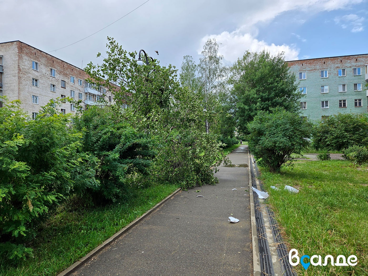 Дерево упало на Комсомольской аллее в Верхней Салде. Пострадал фонарь Дерево упало на Комсомольской аллее в Верхней Салде. Пострадал фонарь