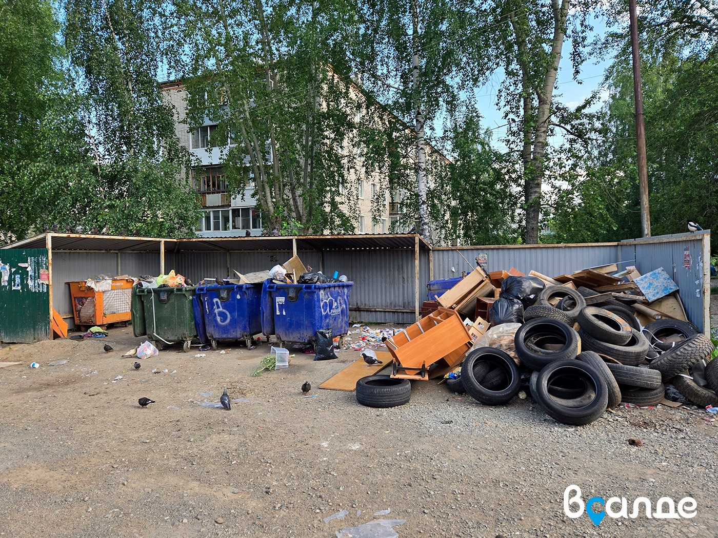 В Верхней Салде закупили бывшие в употреблении мусорные контейнеры В Верхней Салде закупили бывшие в употреблении мусорные контейнеры