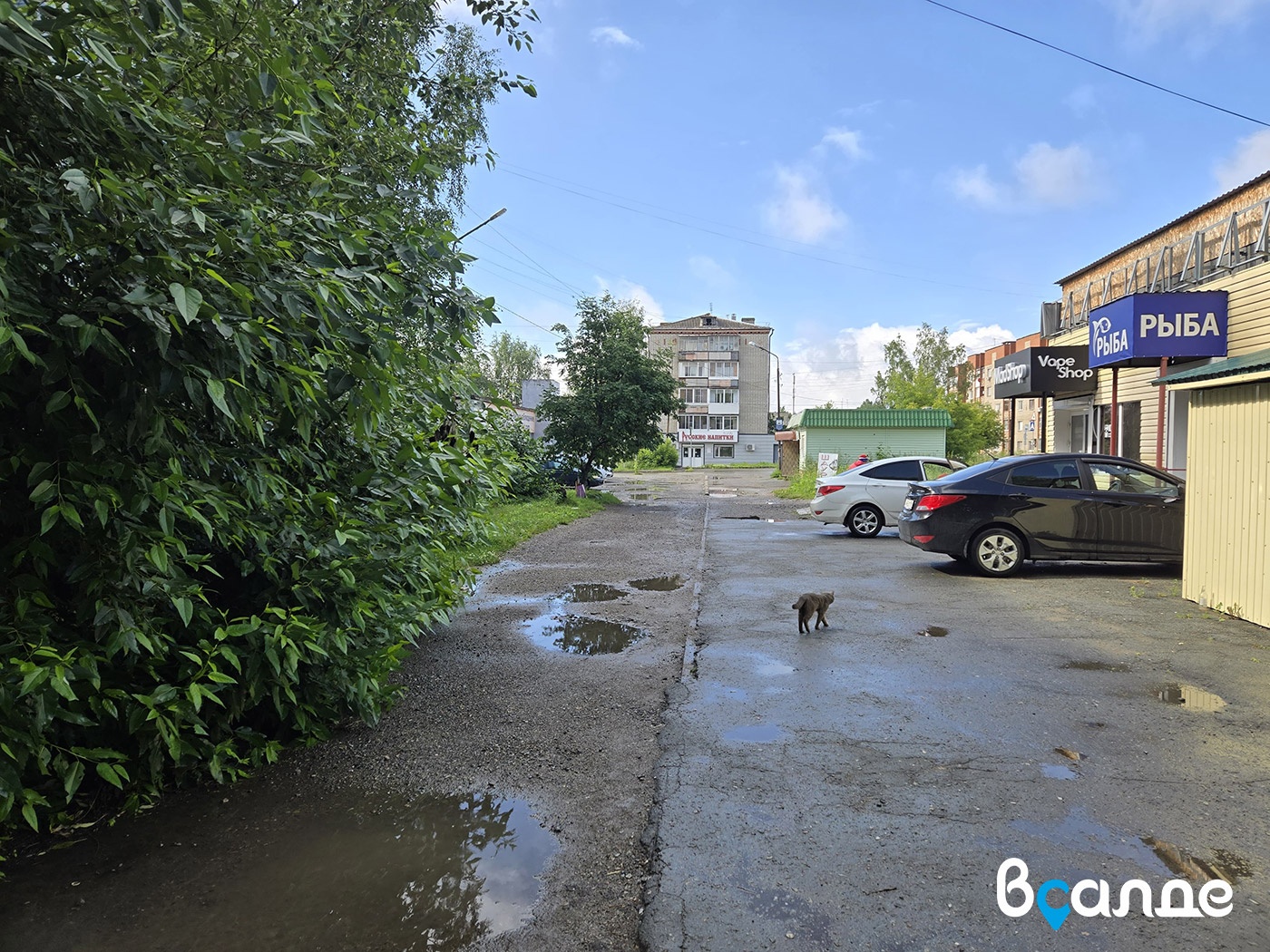 Денег нет, ждите 2027-й… Денег нет, ждите 2027-й…
