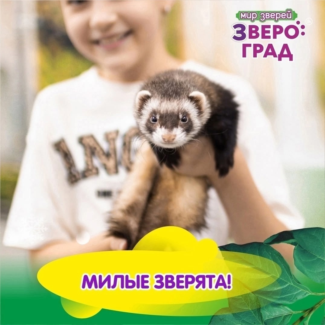 С 3 по 20 июля. «Звероград» в Верхней Салде С 3 по 20 июля. «Звероград» в Верхней Салде