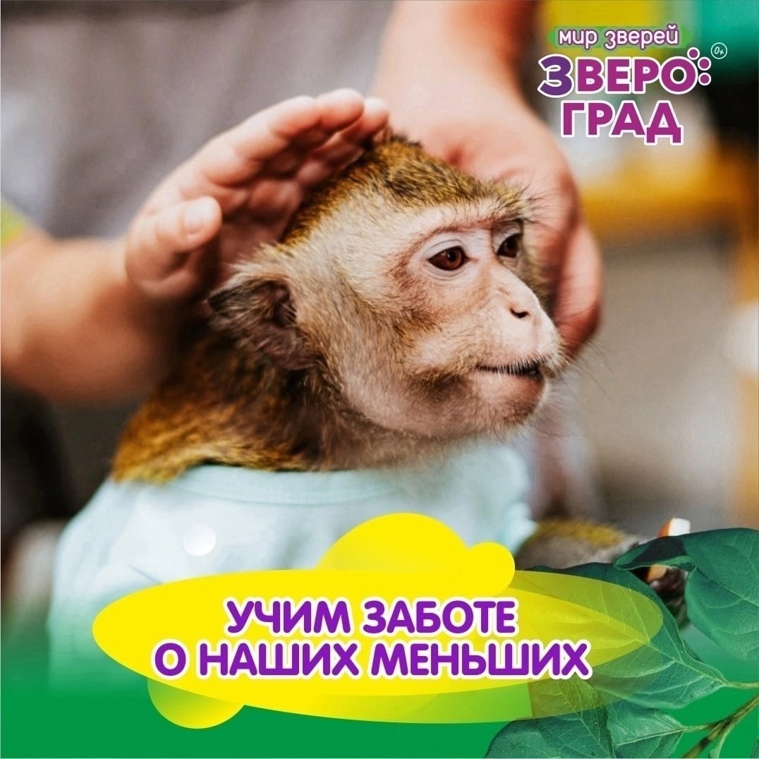 С 3 по 20 июля. «Звероград» в Верхней Салде С 3 по 20 июля. «Звероград» в Верхней Салде