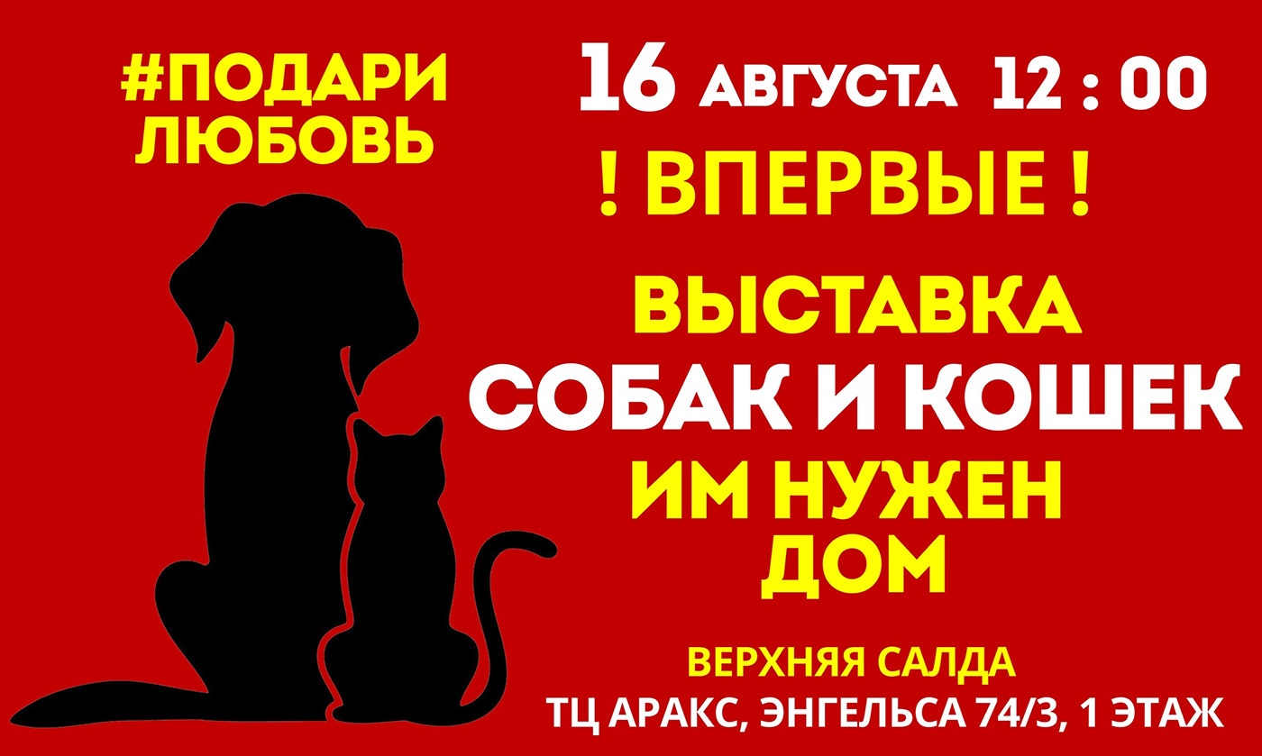 Хотите завести кошку или собаку? Приходите на выставку «Им нужен дом» Хотите завести кошку или собаку? Приходите на выставку «Им нужен дом»
