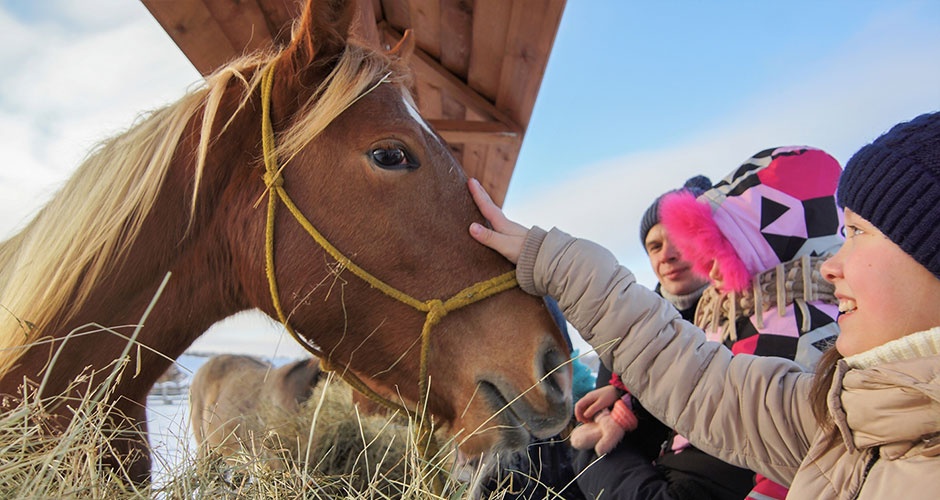 Зимний сезон на «Дальнем хуторе»! Популярные детские комплексы и квесты Зимний сезон на «Дальнем хуторе»! Популярные детские комплексы и квесты