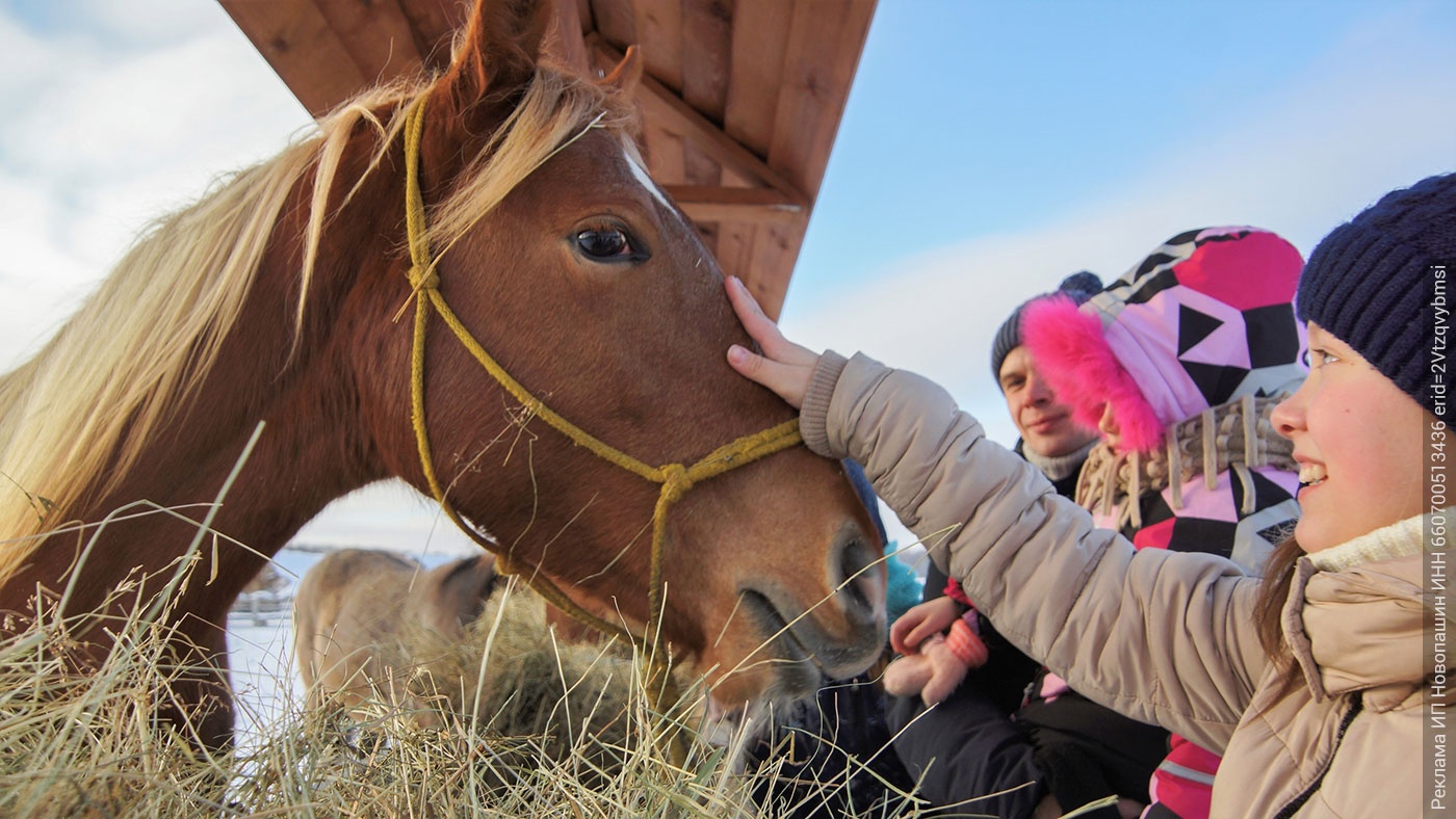 Зимний сезон на «Дальнем хуторе»! Популярные детские комплексы и квесты Зимний сезон на «Дальнем хуторе»! Популярные детские комплексы и квесты