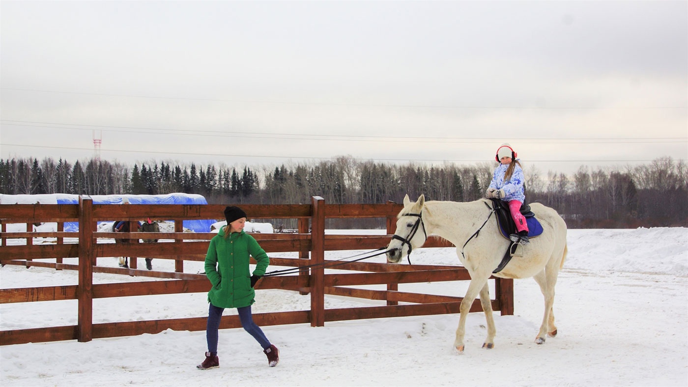 Зимний сезон на «Дальнем хуторе»! Популярные детские комплексы и квесты Зимний сезон на «Дальнем хуторе»! Популярные детские комплексы и квесты