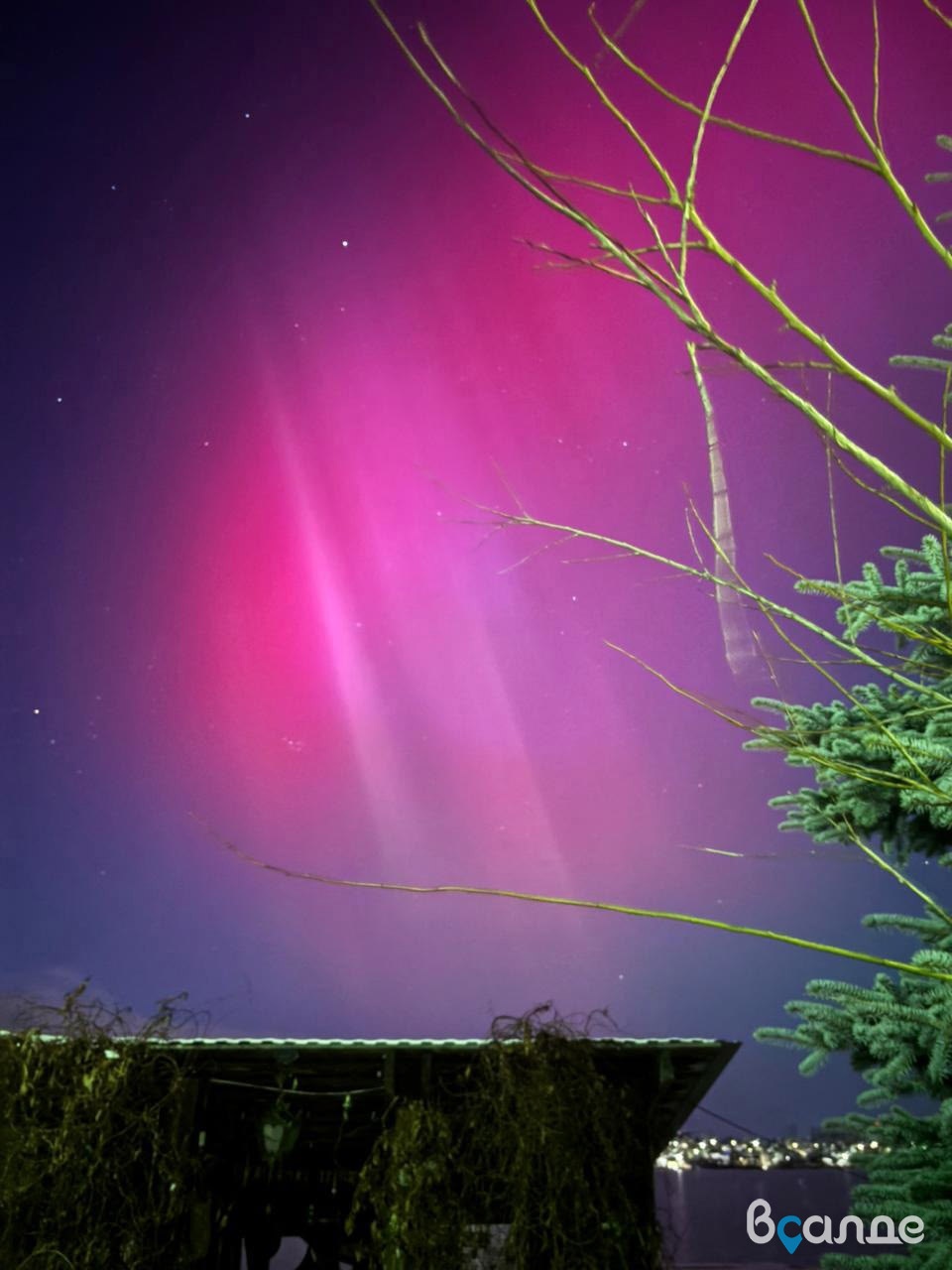 �������� ������ ������ � 2025