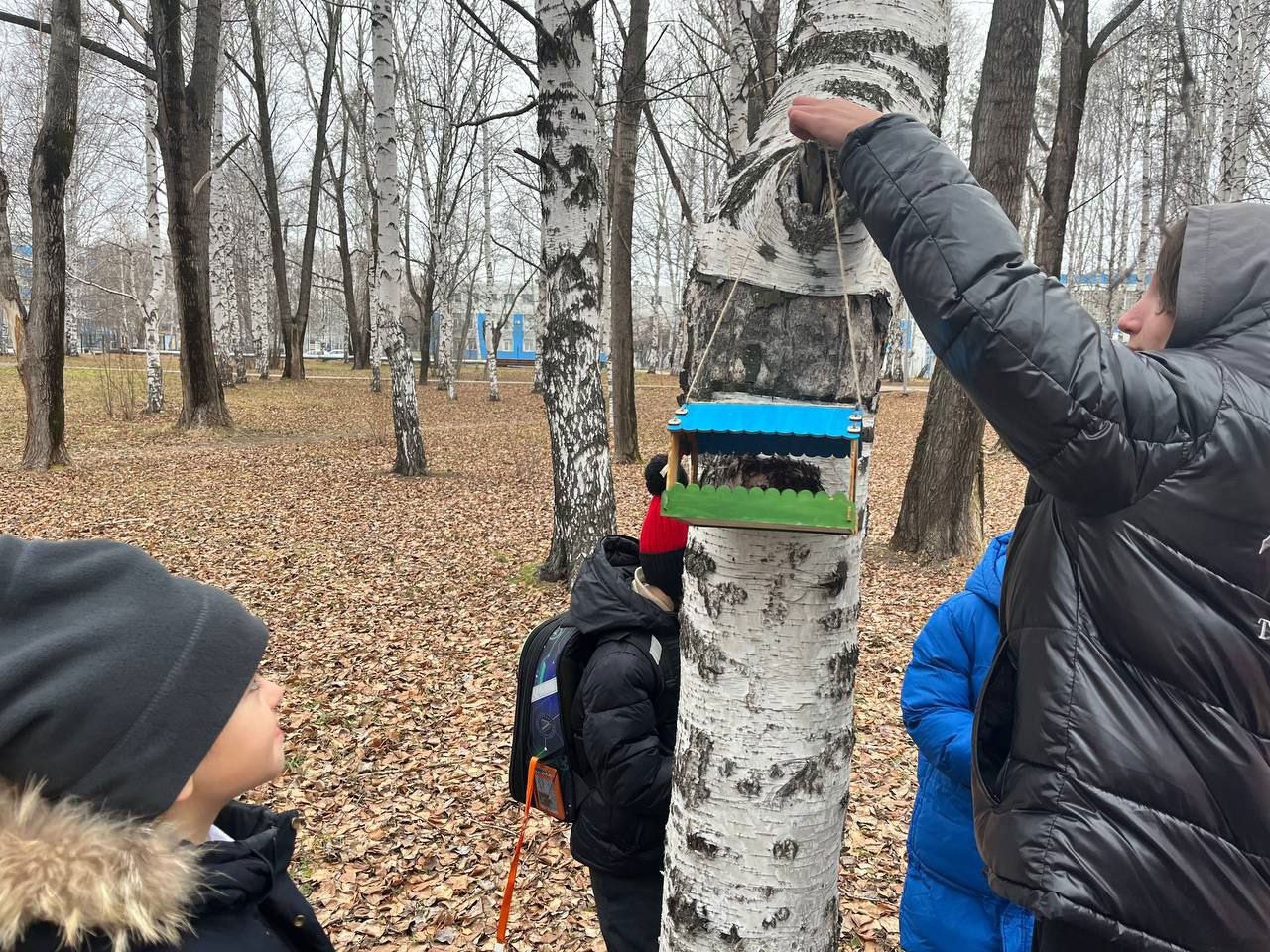 Салдинские школьники позаботились о пернатых друзьях Салдинские школьники позаботились о пернатых друзьях