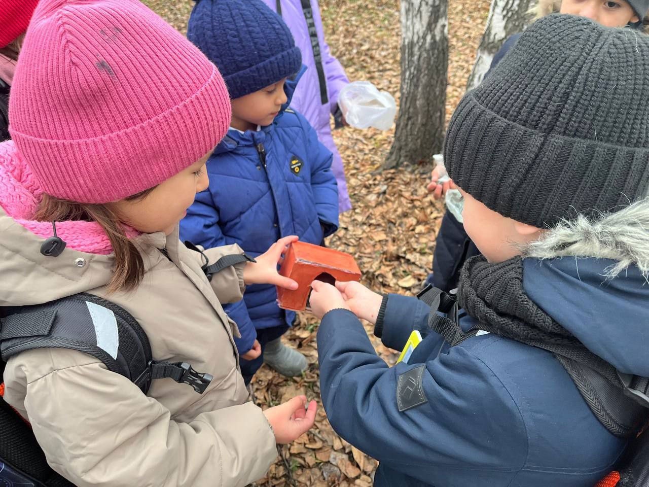 Салдинские школьники позаботились о пернатых друзьях Салдинские школьники позаботились о пернатых друзьях