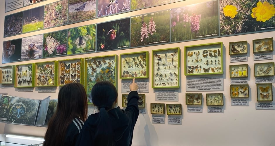 В новогодние каникулы — в музей В новогодние каникулы — в музей