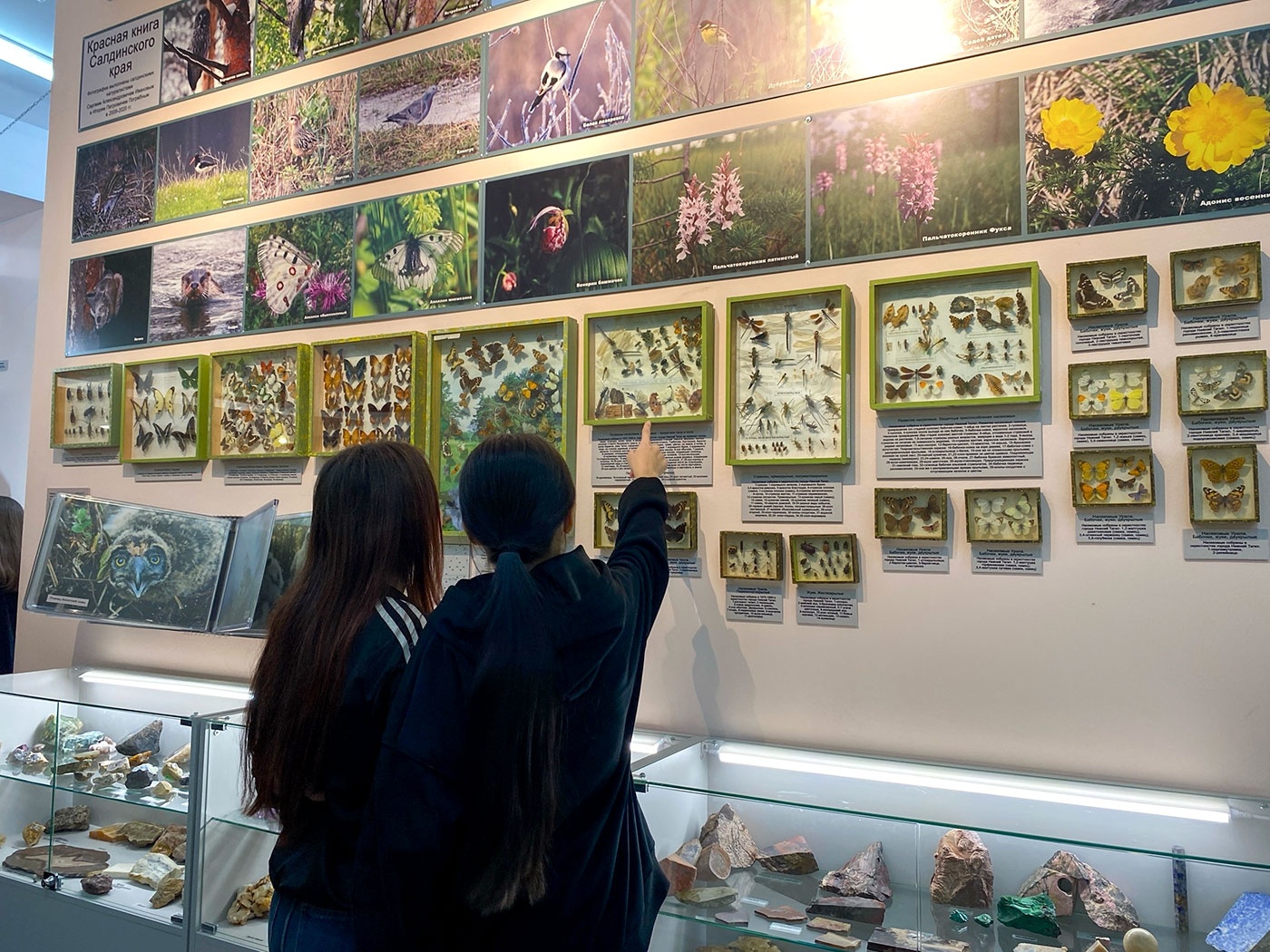  ���������� �������� � ������