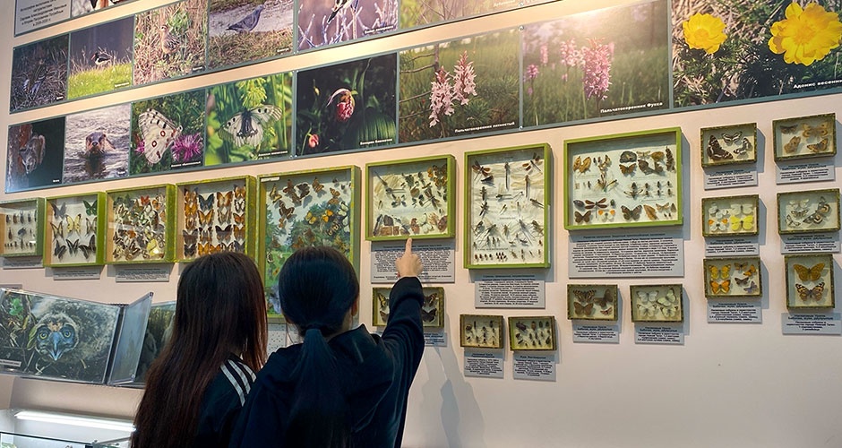 В новогодние каникулы — в музей В новогодние каникулы — в музей