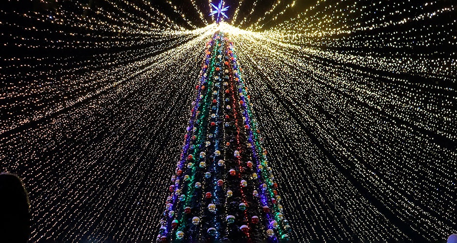 ���������� ������� ������� ������� �������� �����