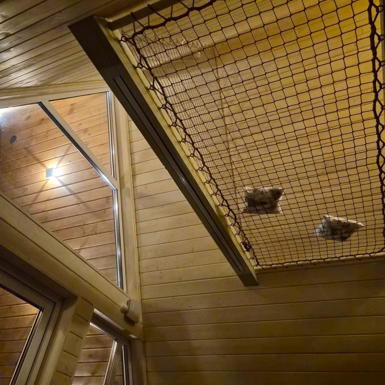 ������ ������ �������� �����. �����, �����, ������