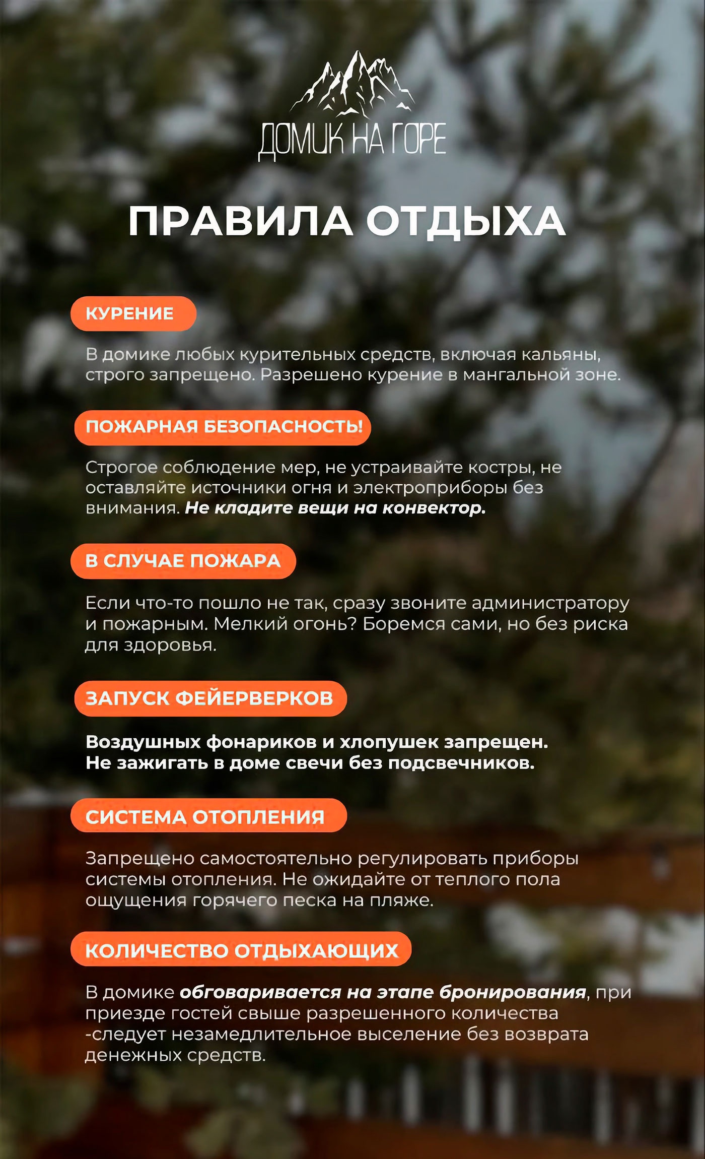 ������ ������ �������� �����. �����, �����, ������