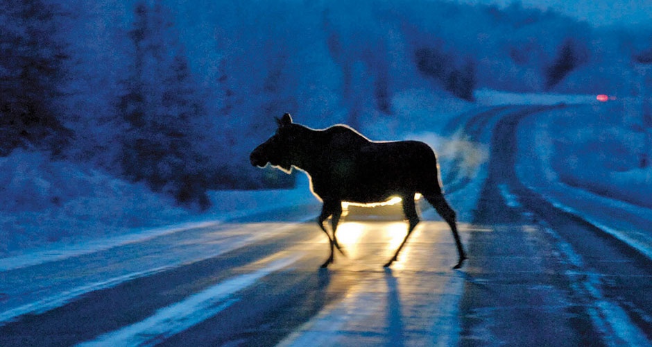 ���������������� ������������� ��������� ����������� ������ ����� ��������