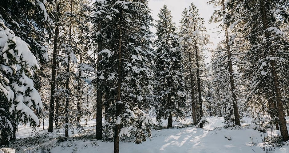 ���������� ��������� ���������� ����� ������� ������� ��������