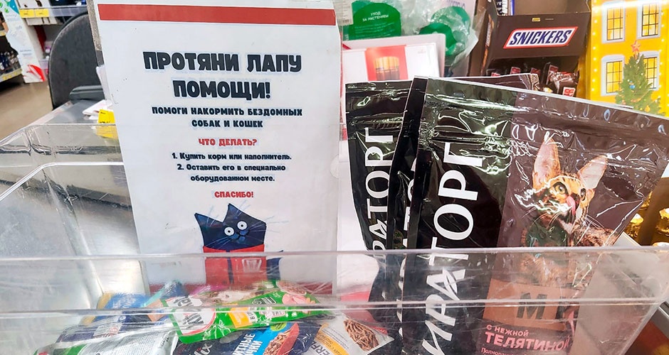 «Протяни лапу помощи». Зооволонтёры и «Магнит» проводят благотворительную акцию «Протяни лапу помощи». Зооволонтёры и «Магнит» проводят благотворительную акцию