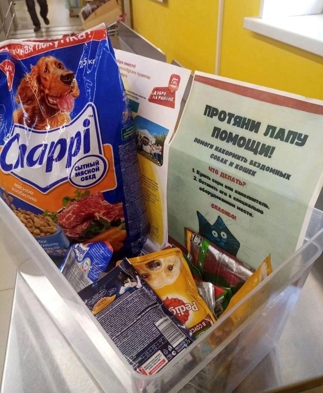 «Протяни лапу помощи». Зооволонтёры и «Магнит» проводят благотворительную акцию «Протяни лапу помощи». Зооволонтёры и «Магнит» проводят благотворительную акцию