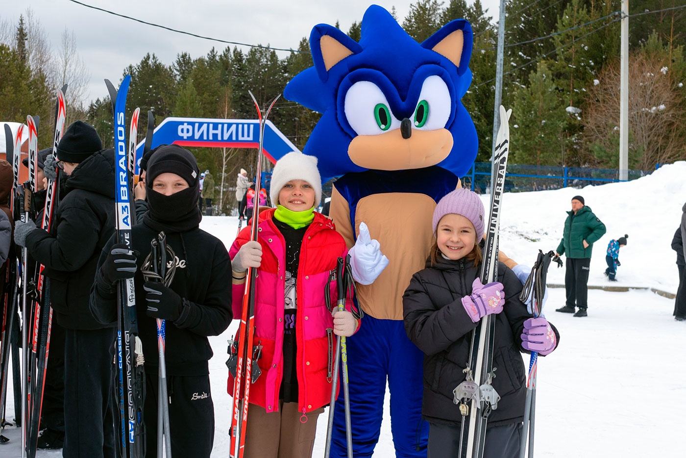 ������ ������ 2026� ������