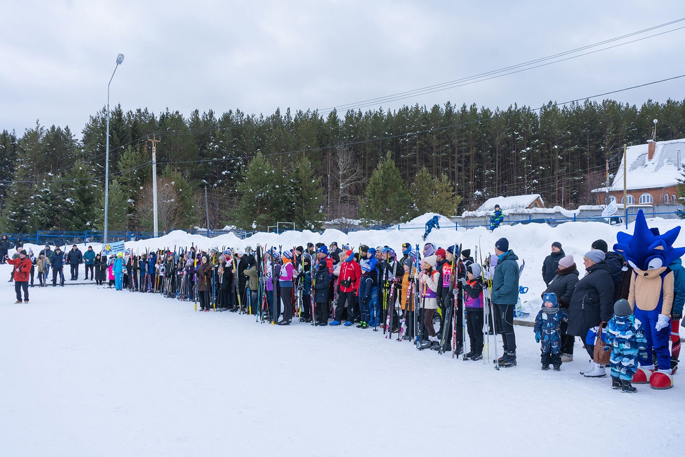 ������ ������ 2026� ������