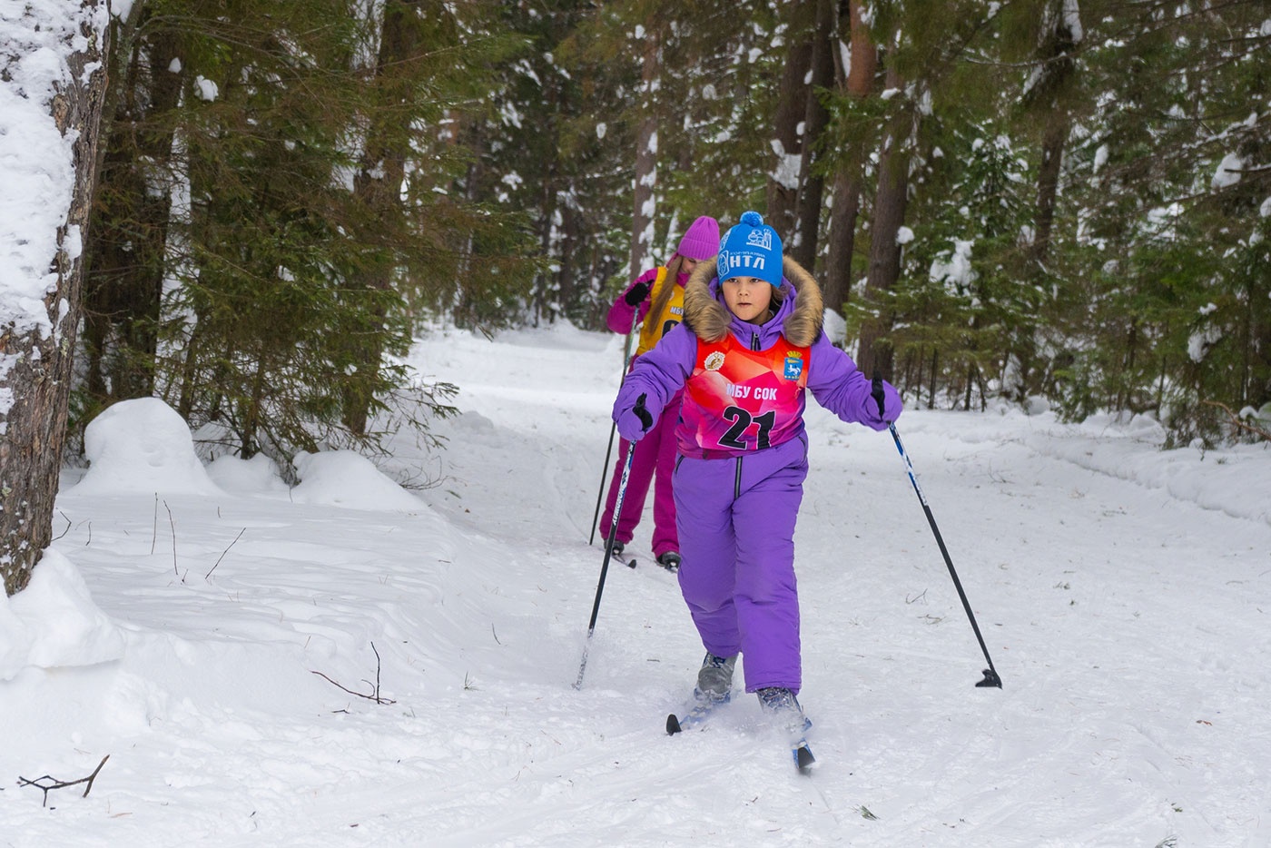 ������ ������ 2026� ������