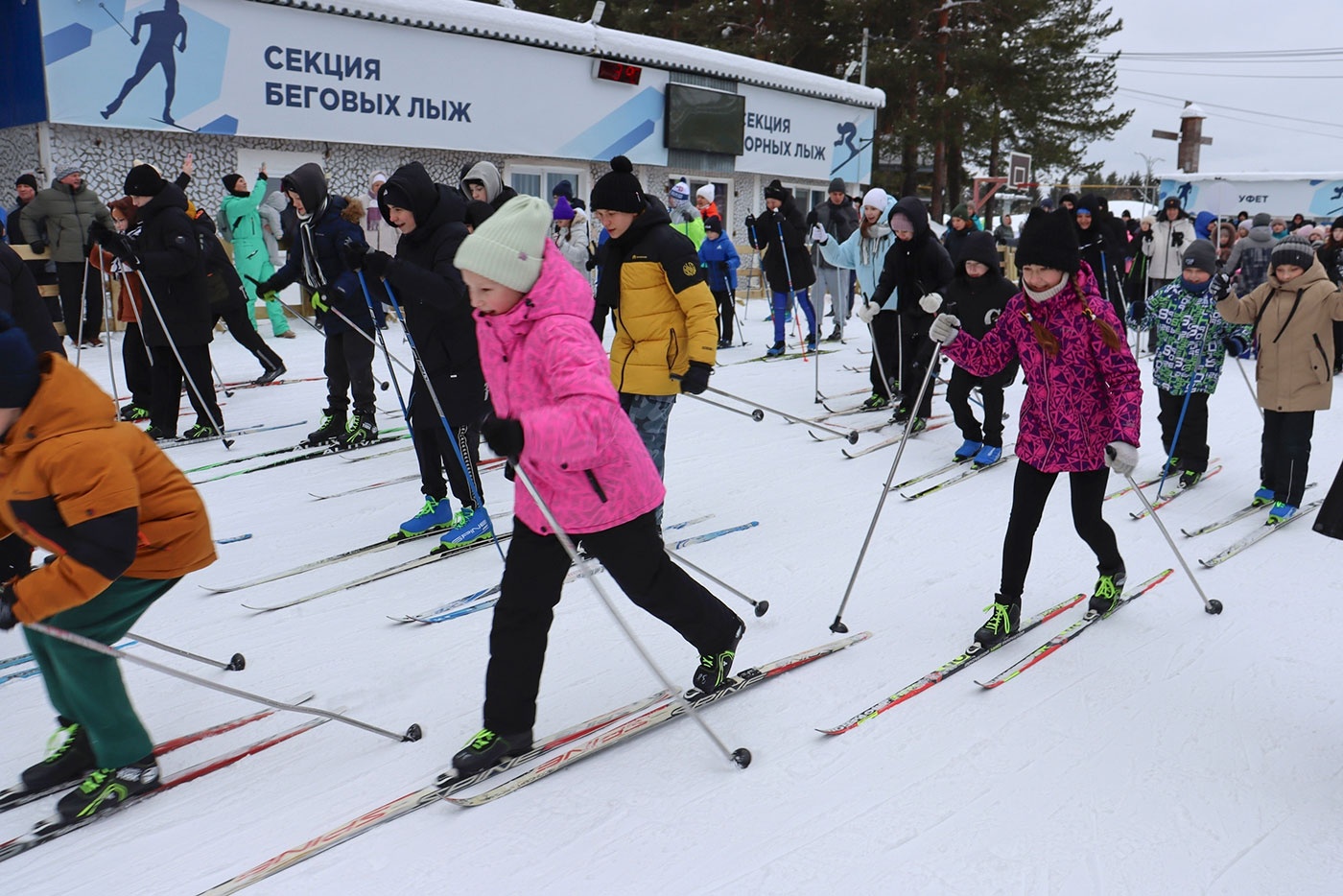 ������ ������ 2026� ������