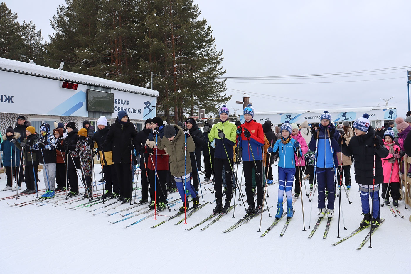 ������ ������ 2026� ������