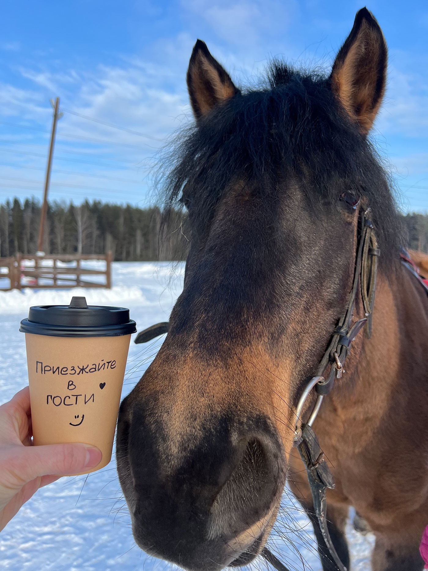 22 февраля. Масленица для самых маленьких на «Дальнем хуторе». Вход свободный 22 февраля. Масленица для самых маленьких на «Дальнем хуторе». Вход свободный