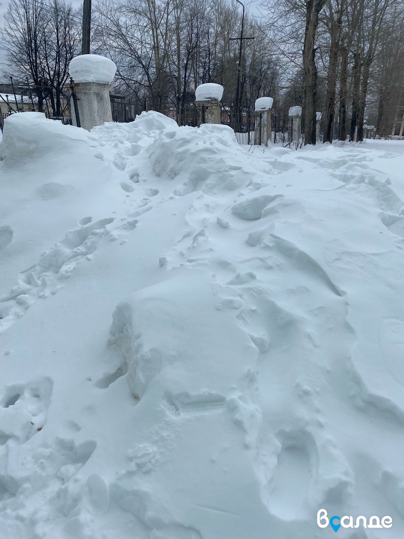 ����� �������