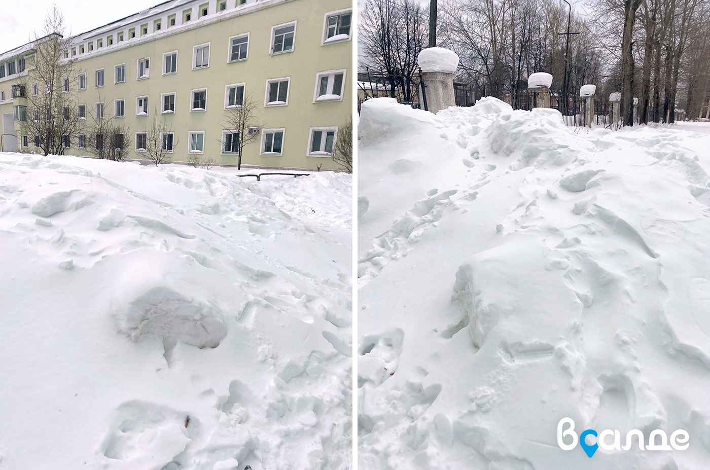 ����� �������