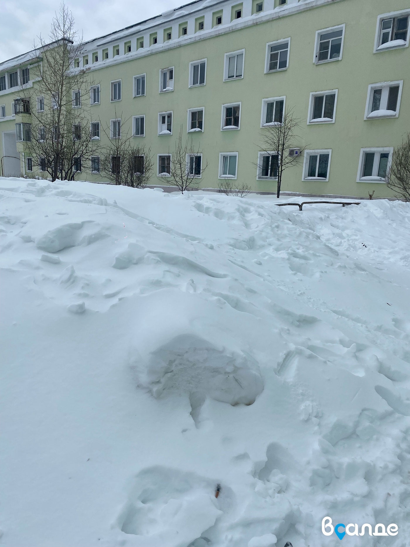 ����� �������