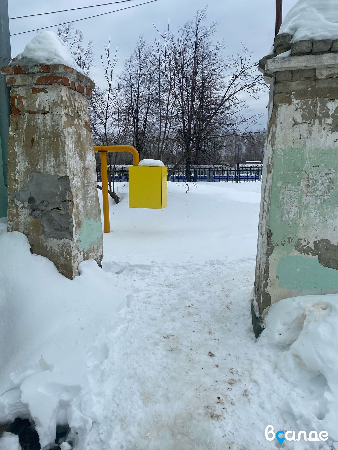 ����� �������